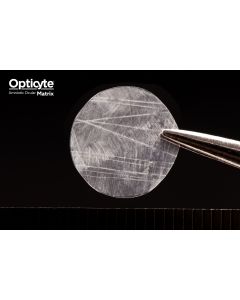 Opticyte™ Amniotic Ocular Matrix - 8mm
